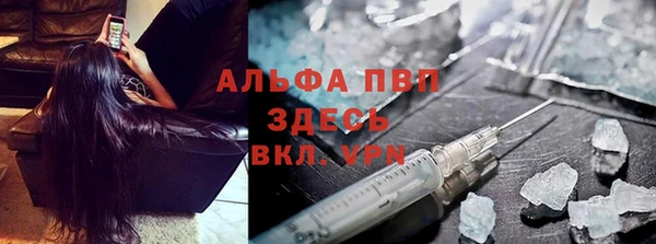 PSILOCYBIN Переславль-Залесский