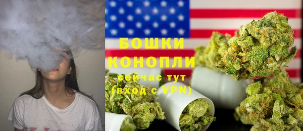 PSILOCYBIN Переславль-Залесский