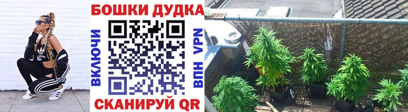 Купить где  Билибино  Бошки Шишки Amnesia 